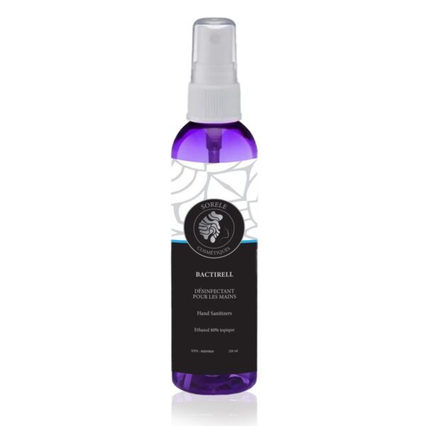 DÉSINFECTANT VAPORISATEUR POUR LES MAINS - 250 ml