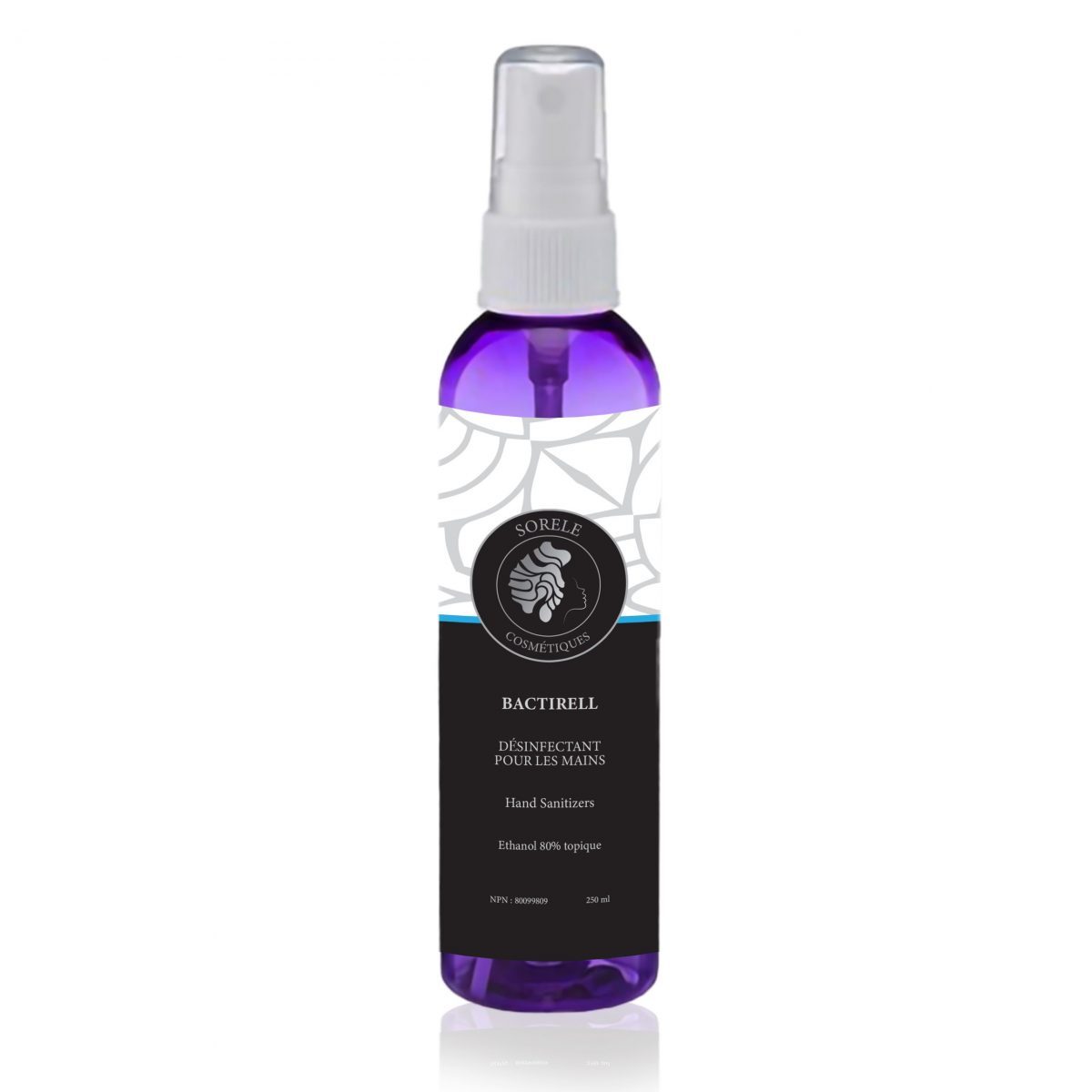 DÉSINFECTANT VAPORISATEUR POUR LES MAINS - 250 ml
